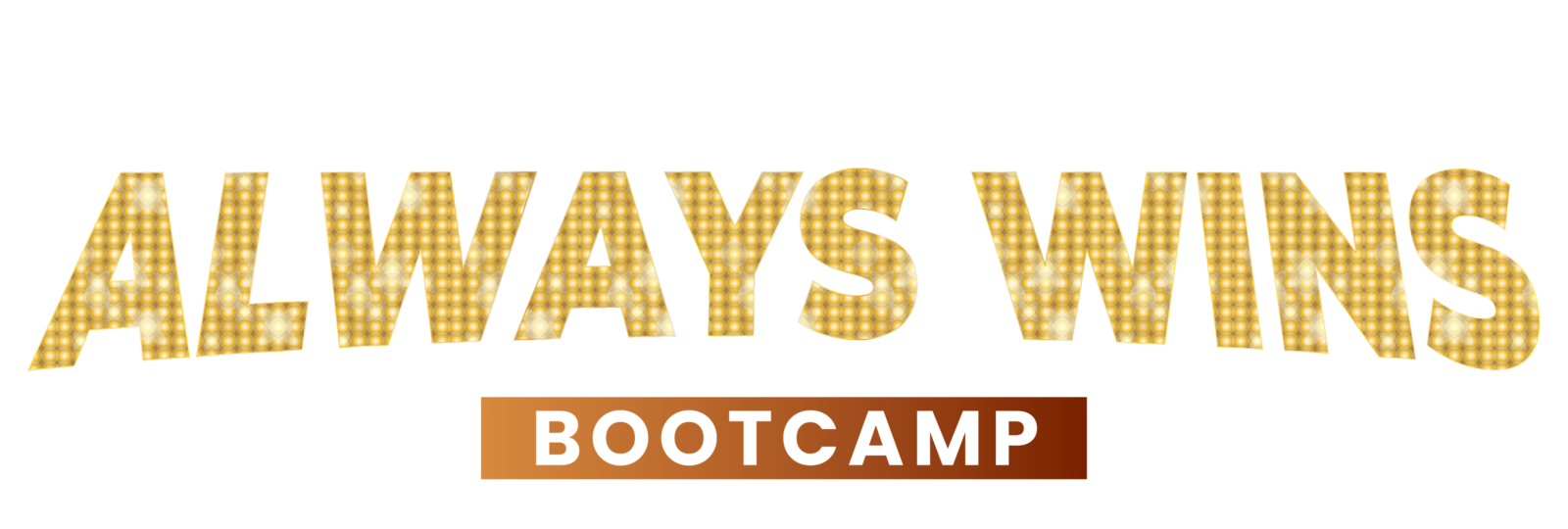 Text logo reading “The Presenter Always Wins Bootcamp” in bold white and gold lettering on a black background.