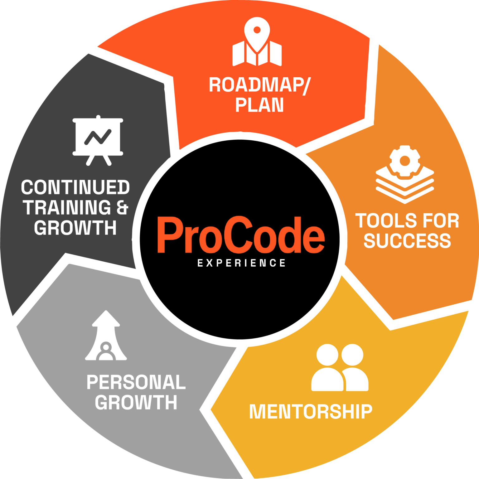 The 5 Components of the ProCode Experience Framework